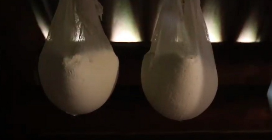 Гуцульська бриндзя з коров'ячого молока Family Farm